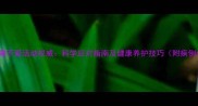猫咪嗜睡不爱活动权威科学应对指南及健康养护技巧附病例分析