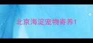 北京海淀宠物寄养