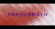 拉布拉多犬狗粮哪个好