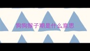 狗狗猴子期是什么意思