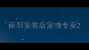 南阳宠物店宠物专卖
