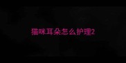 猫咪耳朵怎么护理