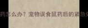 拉布拉多吃老鼠药怎么办宠物误食鼠药后的紧急处理与预防指南