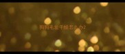 狗狗毛发干燥怎么办