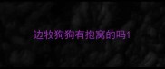 边牧狗狗有抱窝的吗