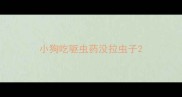 小狗吃驱虫药没拉虫子