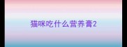 猫咪吃什么营养膏