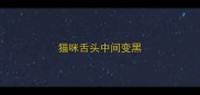 猫咪舌头中间变黑