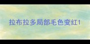 拉布拉多局部毛色变红