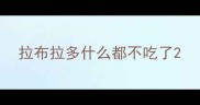 拉布拉多什么都不吃了
