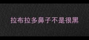 拉布拉多鼻子不是很黑