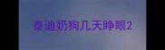 泰迪奶狗几天睁眼