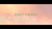 边牧8个月肩高40