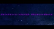 泰迪犬吃得多怎么办科学应对指南健康饮食与行为管理全攻略