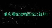 重庆哪家宠物医院比较好