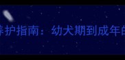 金毛犬毛色何时定型科学养护指南幼犬期到成年的毛色变化全附护理技巧
