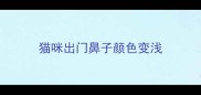 猫咪出门鼻子颜色变浅