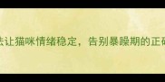 5个科学方法让猫咪情绪稳定告别暴躁期的正确操作指南