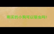 刚买的小狗可以驱虫吗