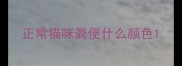 正常猫咪粪便什么颜色