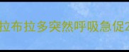 拉布拉多突然呼吸急促