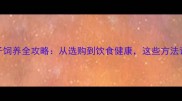 新手必看宠物兔子饲养全攻略从选购到饮食健康这些方法让爱宠健康快乐成长
