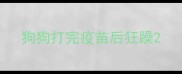 狗狗打完疫苗后狂躁