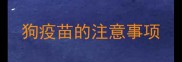 狗疫苗的注意事项