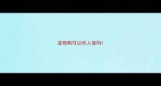 宠物狗可以吃人饭吗