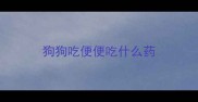 狗狗吃便便吃什么药
