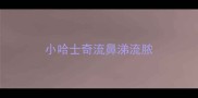 小哈士奇流鼻涕流脓