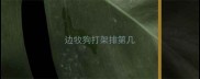 边牧狗打架排第几