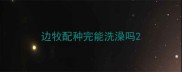 边牧配种完能洗澡吗