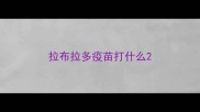 拉布拉多疫苗打什么