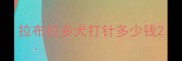 拉布拉多犬打针多少钱