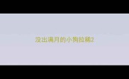 没出满月的小狗拉稀