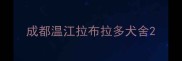 成都温江拉布拉多犬舍