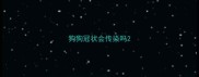 狗狗冠状会传染吗