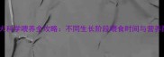 拉布拉多犬科学喂养全攻略不同生长阶段喂食时间与营养配比指南