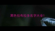 黑色拉布拉多名字大全