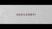 边牧怎么交他握手