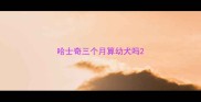 哈士奇三个月算幼犬吗