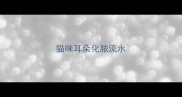 猫咪耳朵化脓流水