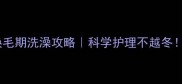 拉布拉多换毛期洗澡攻略科学护理不越冬附防秃指南