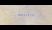 狗狗嘴上长了个包