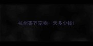 杭州寄养宠物一天多少钱