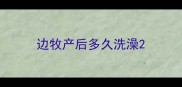 边牧产后多久洗澡