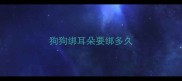 狗狗绑耳朵要绑多久