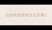 边牧阿波罗是怎么回事