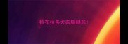 拉布拉多犬前腿腿形